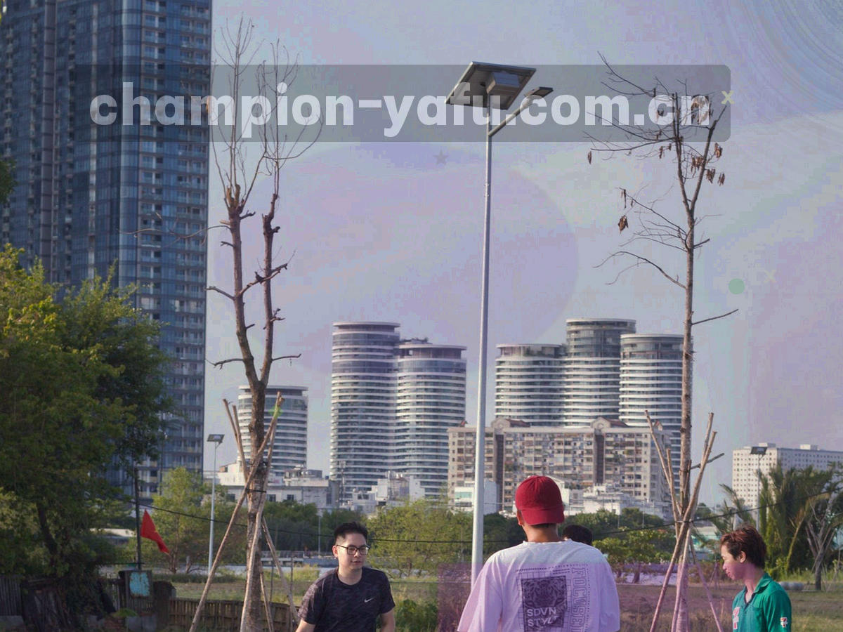 手持移动设备查看赛程列表的局部特写，背景为暖色灯光